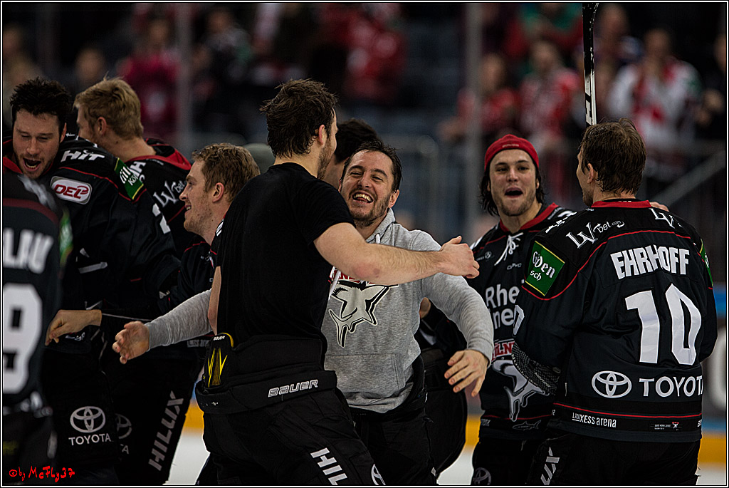 DEL, Koelner Haie - Augsburger Panther, 13.01.2017